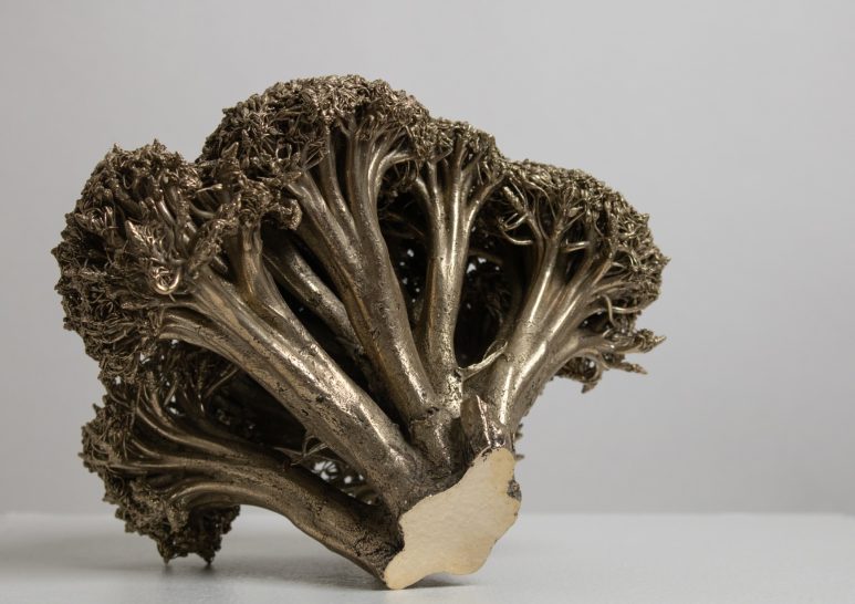 Head of broccoli cast in solid brass with polished base.